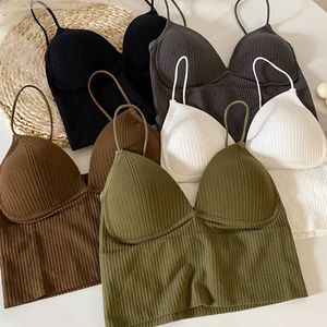 Bras Dames Camisole Slim Fit Sexy Stretch Push Up Bra met borstkussens gebreide Crop Top Short Tube Top V-Neck Tops Bralette Hot Sale P230512