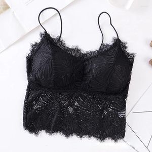 Soutien-gorge dames mince sangle dentelle beauté dos enveloppe poitrine tube haut sans anneau en acier avec coussin de poitrine fond camisole sexy pleine tasse lingerie