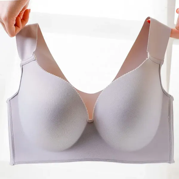 Bras Lady Solid Women Push Up Bra Wireless Sexy Brassiere Plus Tamaño sin costuras para mujer