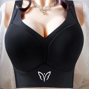 Bras Plus taille lingerie sexy sans couture pour femmes Brassiere sans fil de couverture complète légèrement doublée