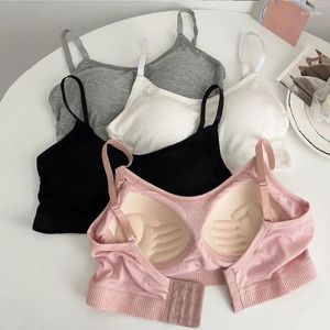 Sujetadores Push Up Bra Mujer Versión coreana Verano Ropa interior delgada sin aros Almohadilla fija para el pecho Suave Sólido para lencería Ropa Mujer