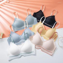 Soutien-gorge sans couture, sous-vêtements pour femmes, Section fine sans jantes, une pièce, contraste de couleur, petit et confortable, push-up, beau dos