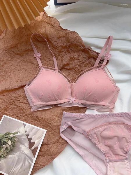 Bras Sets 2024 Lolita Pink Sweet Girl French Triangle Cup Bra Underwear Femme Sexy Lace Small coffre rassemblé Ultra mince pur