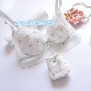 Bh Sets Japanse Wateroplosbare Borduren Dunne Cover Cup Lingerie Meisje Leuke Verzameld Sexy Ondergoed Set Grote Maat Bh Panty pak