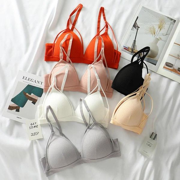 Soutien-gorge Sexy Femmes Soutien-Gorge Sans Fil Brassière Push Up Lingerie Français Triangle Coupe Sous-Vêtements Fil Top Femme Intimes Bralette