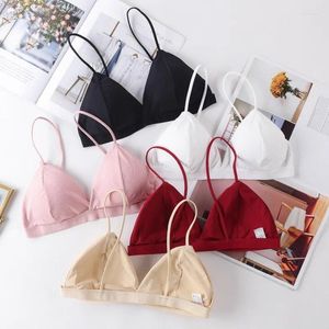 Soutien-gorge Triangle Cup Soutien-gorge Femmes Sans couture Push Up Crop Top Fitness Yoga Sports Deep V Bralettes sans fil pour