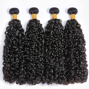 Brésilien 10A petites spirales bouclés paquets non transformés crépus cheveux humains Piie boucles tisser uniquement vierge extension 3B 3C 240127