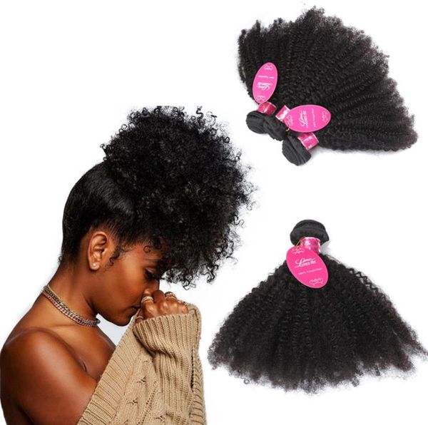 Brésilien Afro Bouclés Cheveux Brésiliens Afro Crépus Bouclés vague Bundles Pas Cher 8A Malaisien Péruvien Vierge Armure de Cheveux Humains FZP212