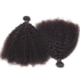 Brésilien Afro Crépus Bouclés Cheveux Humains Bundles Non Transformés Remy Cheveux Tisse Double Trames 100gBundle 2bundlelot Extensions de Cheveux8116430
