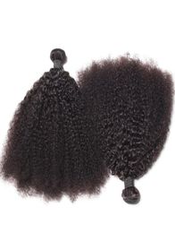 Brésilien Afro Kinky Curly Human Hair Bundles non traité les cheveux Remy tissés Double Touts 100 Gbundle 2Bundlelot Hair Extensions 2955242