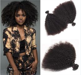 Braziliaanse Afro Kinky Krullend Menselijk Haar Bundels Remy Haar Weeft Dubbele Inslagen 100 g/bundel 2 bundel/lot Hair Extensions