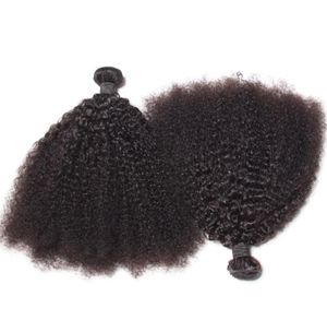 Brasil Afro Kinky Curly Human Hair Bundles sin procesar Remy Hair Weaves Double Wefts 100GBundle 2Bundlelot Hair Extensions8233767