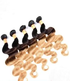 Brésilien Brésil Wave Hair Weave Fackles Three Tone 1B427 Vierge Human Hair Extensions Ombre Extensions Hair92699502151756