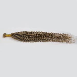 Tressage brésilien Afro Crochet tresses cheveux Style 100g cheveux tressés humains en vrac bouclés 1 pièces cheveux tressés humains
