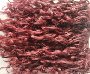 Braziliaanse clip ins Human Virgin Curly Hair Extensions Red 99J Color5003443