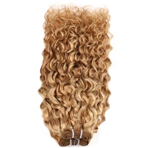 Armure de cheveux humains vierges bouclés brésiliens 1 pièces double qualité de trame, sans perte, sans enchevêtrement