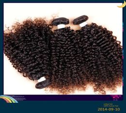 Extensions brésiliennes de cheveux humains profonds boucles coquelures trémies noires de couleur noire naturelle dyable grade 6a cheveux 100g un bundle1453274