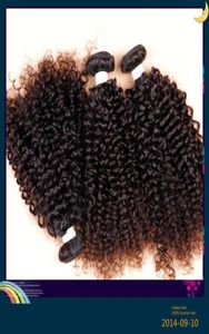 Extensions brésiliennes de cheveux humains profonds boucles pneosques tréments noirs couleur noire de manière teinte de niveau 6A de classe 6a 100g un bundle5885725