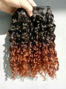 Braziliaanse menselijke maagd krullend haarextensions Remy Ombre kleur natuurlijke zwart / bruin haar inslag 3bundles voor volledig hoofd