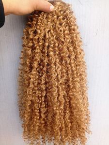 Extensions de cheveux brésiliens vierges Remy bruns 27 #, cheveux crépus bouclés, trame douce, Double tirage