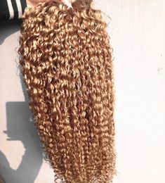 Brasileiro virgem humana remy kinky encaracolado extensões de cabelo remy loiro escuro cor trama do cabelo 23 pacotes para cabeça cheia 8978497