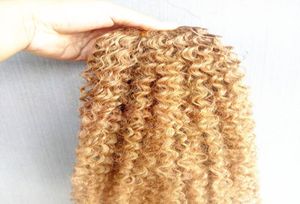 Braziliaanse Human Virgin Remy Kinky Krullend Haar Extensions Donkerblond 27 Kleur Haar Inslag 23 Bundels Voor Volledig Hoofd6179121