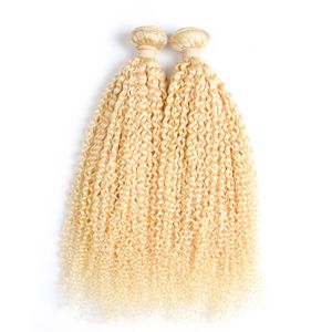 Cheveux brésiliens crépus bouclés 2 faisceaux 100% cheveux humains Remy non-remy 200g 613 faisceaux de tissage de cheveux brésiliens blonds blanchis