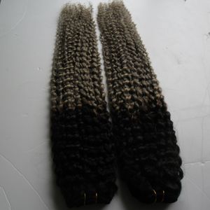 Braziliaanse kinky krullend haar zilver grijs ombre menselijk haar 2 stks twee toon ombre braziliaanse grijze weven afro kinky krullend maagdelijk haar