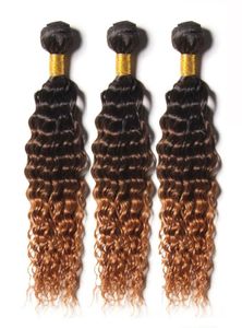 Brésilien Ombre ombre Bundles à cheveux bouclés profonds 3 Tone 1B430 Brown Ombre brésilien Brésilien Curly Vierge Human Weaves8488957