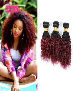 Brésilien Ombre Cheveux Humains 3 Bundles Deux Tons 1B99j Bourgogne Crépus Bouclés Cheveux Humains Armure Colorée Brésilienne Extensions de Cheveux Humains5868787