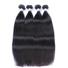 Braziliaans recht haar onbewerkte Maleisische Mensische Haar Weave Bundels Maleisische Hair Extensions 3pcs Lot Natural Black kan worden geverfd