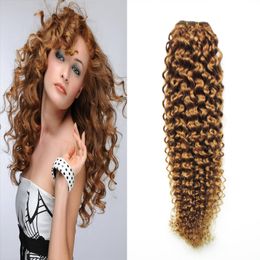 Braziliaanse Virgin Hone Honey Blonde 1pcs / Lothoney Blond Braziliaans Haar Weave