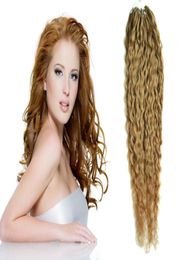 Cheveux vierges brésiliens miel blond bouclés extensions de cheveux micro perles 100g micro anneau boucle cheveux humains 1gs 100s micro boucle 1g curly8524117