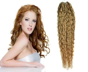 Braziliaans maagdelijk haar honing blond krullend micro kraal hair extensions 100g micro ring loop menselijk haar 1gs 100s micro loop 1g krullend7569988