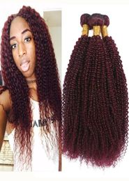 Brésilien Vierge Cheveux Humains 99J Afro crépus Bouclés Trame de Cheveux Bourgogne Crépus Bouclés Vin Rouge Grade 8A Péruvien 3 Bundles Extensions2726502469