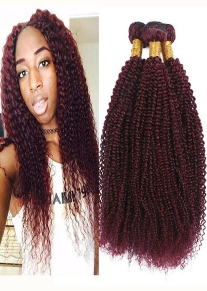 Cabello humano virgen brasileño 99J Afro rizado Trama de cabello rizado Borgoña Rizado Vino tinto Grado 8A Peruano 3 paquetes Extensiones 2726502469