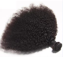 El cabello humano virgen brasileño Afro Kinky Curly Sin procesar Remy Hair teje tramas dobles 100 g / paquete 1 paquete / lote se puede teñir blanqueado