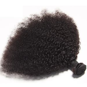 Braziliaanse Maagd Menselijk Haar Afro Kinky Krullend Onverwerkte Remy Haar Weeft Dubbele Inslagen 100 g/bundel 1 bundel/partij Kan worden Geverfd Gebleekt Fedex