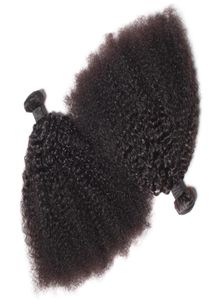 Cheveux humains vierges brésiliens Afro Kinky Curly Wave Non transformés Remy Hair Weaves Double Trames 100gBundle 2bundlelot peut être teint Bl4930363