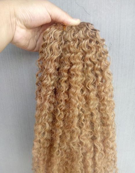 Extensiones humanas de la trama del pelo rizado rizado brasileño de la Virgen Remy rubia 270 Color 100 g un paquete Weaves7048674