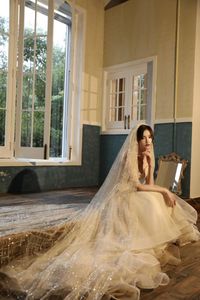 Bruids sluiers Design Champange of White Cut Edge Wedding Veil 1 Laag Exquisite Sequin Long Comb Accessorie