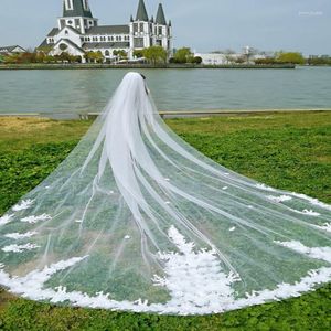 Voiles de mariée Romantique 4 mètres de long Voile de mariage Une couche Fleurs 3D pour la mariée avec peigne et papillons MM