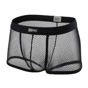 Slips Slipje CLEVER MENMODE Sexy Mesh Boxer Herenondergoed Doorzichtige transparante lage taille Nachtkleding Shorts Boxershorts Onderbroeken 231219