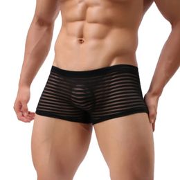 Slips culottes sous-vêtements sexy pour hommes voir à travers un boxer en maille respirante caleçon rayé transparent confortable mâle Hombre mince doux 231219