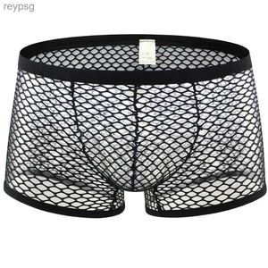 Slips Slipje Sexy Mesh Boxer Heren Ondergoed See Through Transparant Lage Taille Nachtkleding Shorts Boxershorts Erotische Onderbroek YQ240215