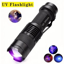 Égayez votre maison avec cette lampe de poche UV portable – Repérez davantage l'urine d'animaux !