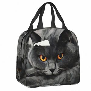 British Shorthair Cat Lunch Box Coolper Food Termal Food Bold de almuerzo para mujeres Picnic Picnic Portable Ctainer Q14R#