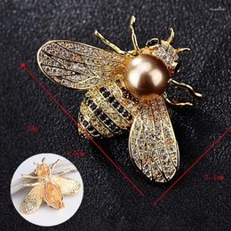 Broches série d'insectes pour femmes, 1 pièce, délicate petite abeille en cristal strass, bijoux cadeaux pour filles 2024