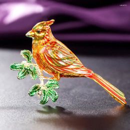 Broches 2024 AÑO Aves para mujeres Joyas de animales Moda de dibujos animados para hombres para niños Regalos de cumpleaños Bijoux