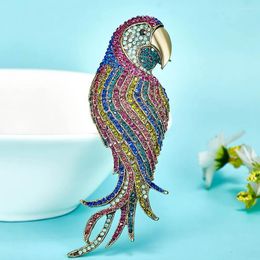 Broches big bird dier voor mannen colar masculino kleurrijke strass sajab accessoires nobele vintage broche bijoux